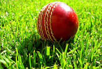 cricket_ball_205x140