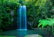 Neal Pritchard: A photo of the Millaa Millaa Falls in QLD